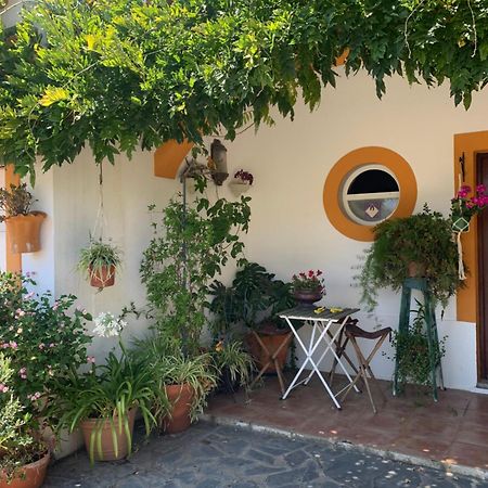 דירות אזייתאו A Casa Do Lagar מראה חיצוני תמונה