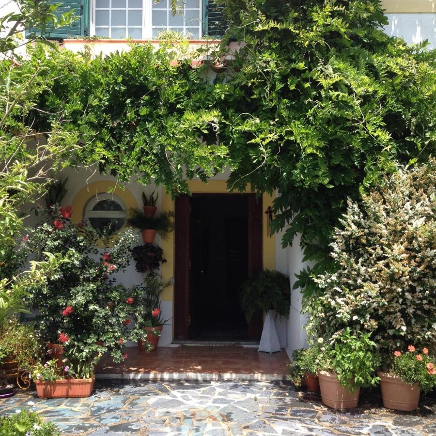 דירות אזייתאו A Casa Do Lagar מראה חיצוני תמונה