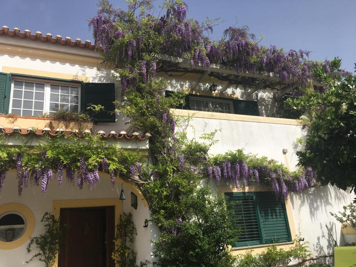 דירות אזייתאו A Casa Do Lagar מראה חיצוני תמונה