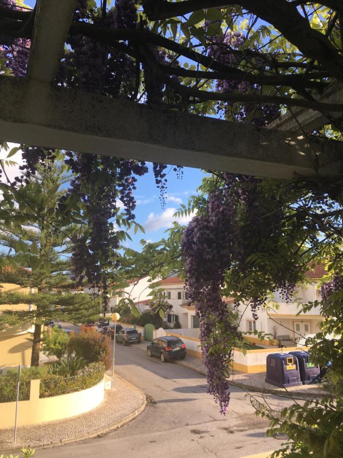 דירות אזייתאו A Casa Do Lagar מראה חיצוני תמונה