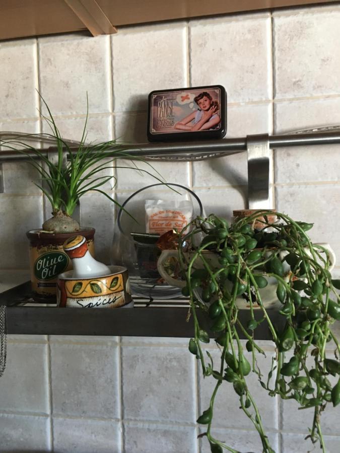 דירות אזייתאו A Casa Do Lagar מראה חיצוני תמונה