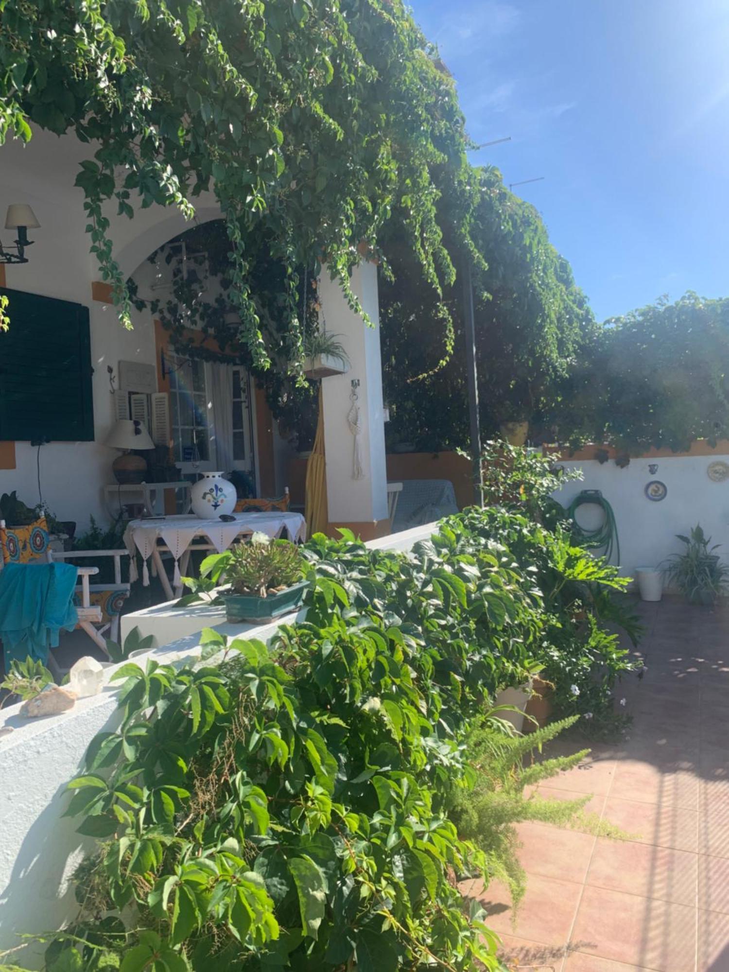 דירות אזייתאו A Casa Do Lagar מראה חיצוני תמונה